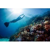 Full-Day Discover Freediving at Koh Tao from Koh Samui