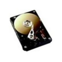 Fujitsu Hard drive 300GB hot-swap - 3.5