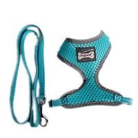 Funtional Reflecting Mesh Pets Safety Belt Harness for Pets Dogs with Leash