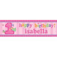Fun at One Girl Personalised Party Banner