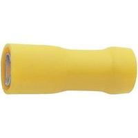 fully insulated female receptacle yellow 4 6mm klauke 750v