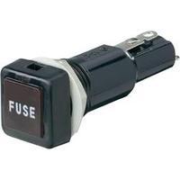 Fuse holder Suitable for Micro fuse 6.3 x 32 mm 10 A 250 Vac SCI 1 pc(s)