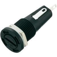 Fuse holder Suitable for Micro fuse 5 x 20 mm 6.3 A 250 Vac SCI R3-54B 1 pc(s)