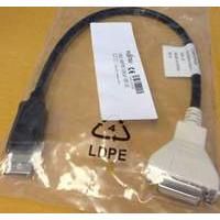 Fujitsu Display Port Dvi-d Adaptor Cable