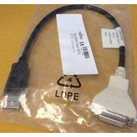 fujitsu display port dvi d adaptor cable