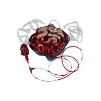 Fun World Costumes Fun World Gross Scary Bleeding Intestines Guts Zombie Costume Accessory