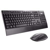 Full Sized Black Keyboard + Ergo Mouse