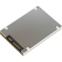 Fujitsu SATA III 256GB (S26361-F3915-L256)