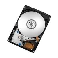 Fujitsu SATA 500GB (S26361-F3816-L500 )