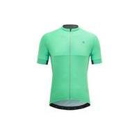 FWE LTR 2.0 Short Sleeve Jersey | Green/Grey - XL