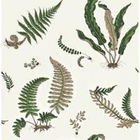 g p amp j baker wallpapers ferns bw450441