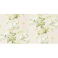 G P & J Baker Wallpapers Lilac Blossom Ivory/ Leaf, BW45072/5