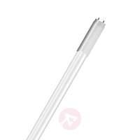 G13 T8 20W 830 SubstiTUBE Advanced LED tube