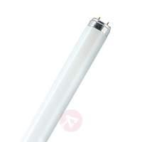 G13 T8 32W 840 LUMILUX ES fluorescent bulb
