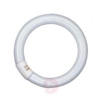 g10q 40w 840 lumilux t9c fluorescent ring