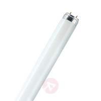 G13 T8 32W 830 LUMILUX ES fluorescent bulb