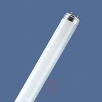 G13 T8 18W/60 red fluorescent bulb from OSRAM