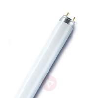 G13 T8 18W/76 Natura Split fluorescent bulb