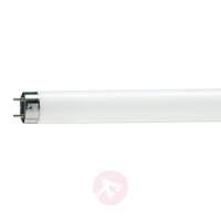 G13 T8 36W 950 Master TL-D Deluxe fluorescent bulb