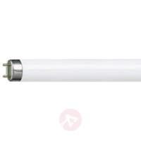 G13 T8 58W fluorescent bulb MASTER TL-D Super 840