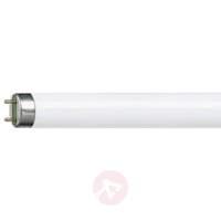 G13 T8 36W fluorescent bulb MASTER TL-D Super 830