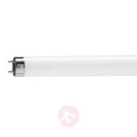 G13 T8 18W 940 Master TL-D Deluxe fluorescent bulb