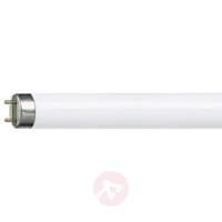 G13 T8 36W fluorescent bulb MASTER TL-D Super 827