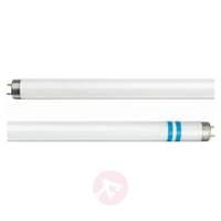 G13 T8 fluorescent bulb with shatter protection