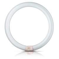 G10q 22W 840 fluorescent ring Master Circular TL-E