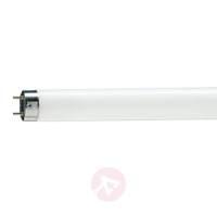 G13 T8 18W 965 Master TL-D Deluxe fluorescent bulb