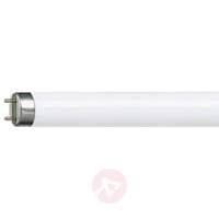 G13 T8 58W fluorescent bulb MASTER TL-D Super 865