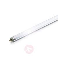 G5 T5 24W 965 Master TL5HO Deluxe fluorescent bulb