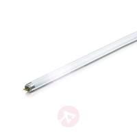 g5 t5 21w 865 fluorescent bulb master tl5 he