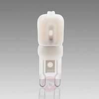 g9 25 w 830 led bi pin bulb opal