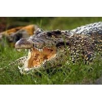 Gatorland - 1 Day Pass