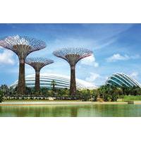 gardens by the bay ticket including one way transfer