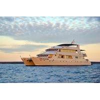 Galapagos Last-Minute Tourist or Superior Class Cruises