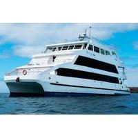 Galapagos Islands Last-Minute Cruise