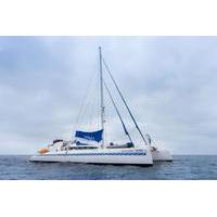 galapagos islands cruise 5 day catamaran sail aboard the nemo i