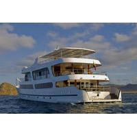 Galapagos Islands Luxury Cruise: 6-Day Tour with a Naturalist Aboard the \'Odyssey\'