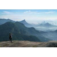 Gavea Rock Full-Day Hiking Tour from Rio de Janeiro