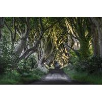 game of thrones and giants causeway full day tour from belfast