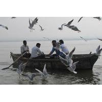 Ganga Ghat and Morning Rituals Guided Boat Tour in Varanasi