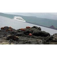 galpagos south east islands aboard the queen