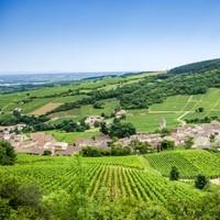 Gastronomic Burgundy Walking