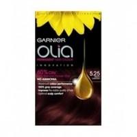 garnier olia hair dye 525 frosty chesnut