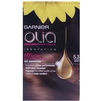 Garnier Olia 5.3 Golden Brown Hair Colour