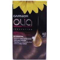Garnier Olia 6.0 Light Brown Hair Colour