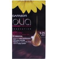 garnier olia 525 frosty chestnut hair colour