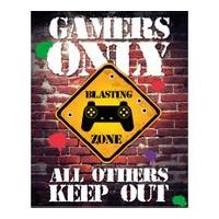 gamers only controller keep out 16 x 20 inches mini poster